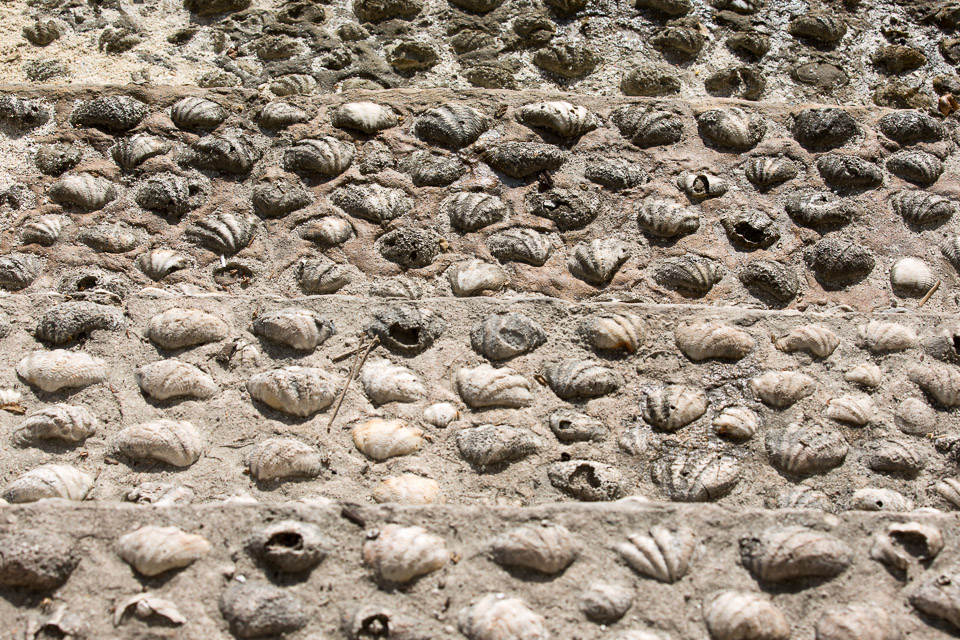 3L9A6940.jpg Iles sous le vent - Maupiti - Copyright : See Otherwise 2012 - 2025